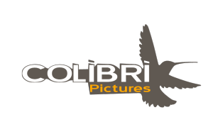 Colibri Pictures architectural